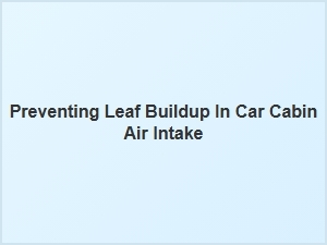 How to Prevent Leaf Buildup in Your Cabin Air Intake