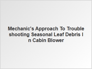 Systematic Cabin Blower Leaf Debris Troubleshooting