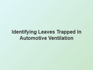 How to Remove Leaves From Your Car's Ventilation System