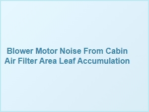 Leaves in the Cabin Air Filter Cause Blower Motor Noise