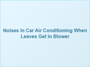 Leaves in Your Ac Blower Cause Strange Noises