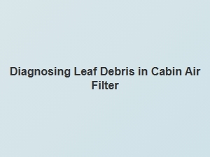 Diagnosing Leaf Debris Through Cabin Filter Sounds
